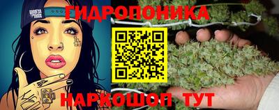 прущая мука Гатчина