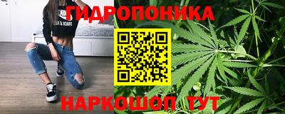 сатива Гагарин