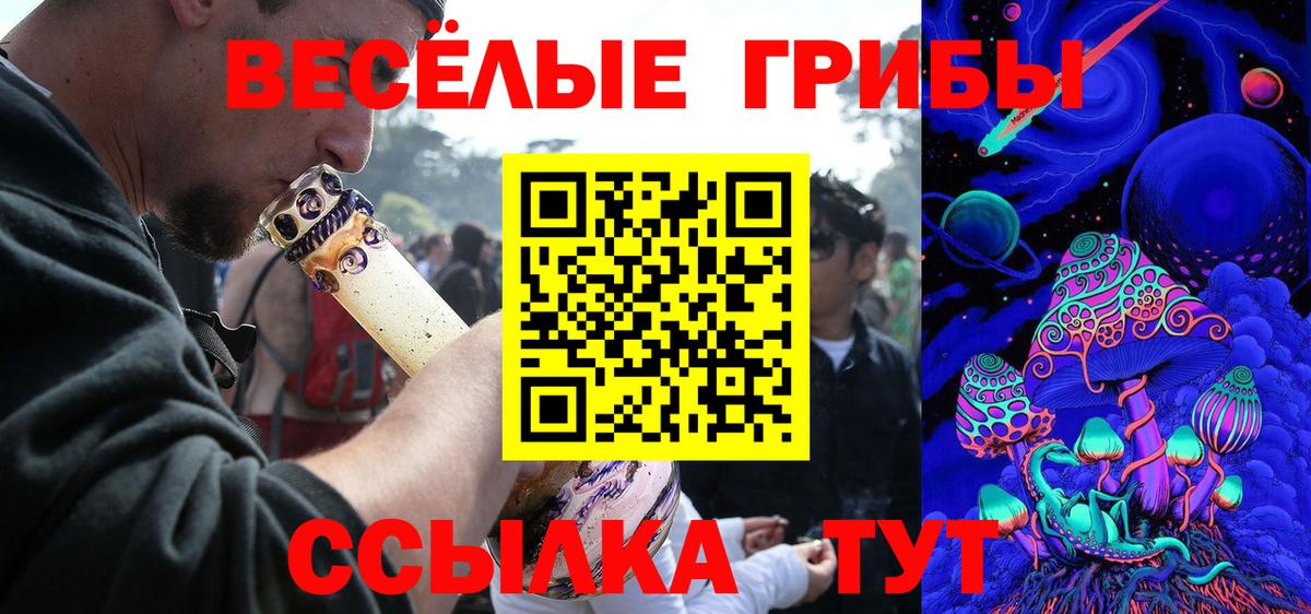 Белгород  Галлюциногенные грибы Cubensis  Вход с VPN 